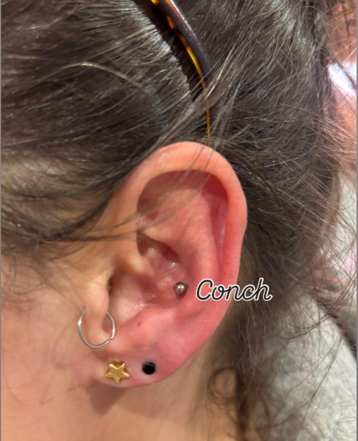 Conch 2
