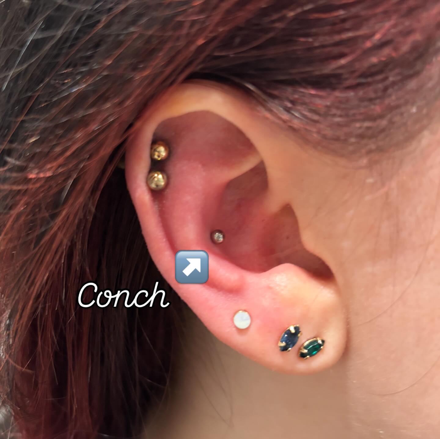 Conch