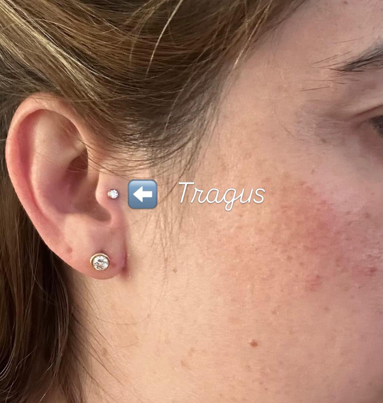 Tragus 2